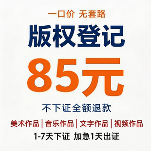 【当天下证】版权登记作品美术ip视频著作权服装插画图片加急申请