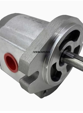 DEKEMA齿轮泵P107 液压油泵GPY-2-R-4B HGP-3A-F14-RX2B液压泵