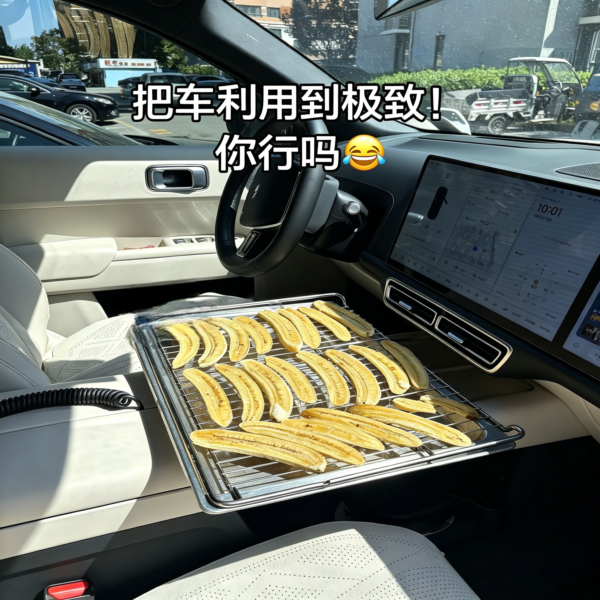 【新能源厨具】车内阳光烤柠檬片网架挡风玻璃晒果干不锈钢晾晒网