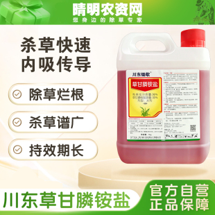 川东锄歌草甘膦除草烂根剂强力除杂草烂根药开荒果园常备除草农药