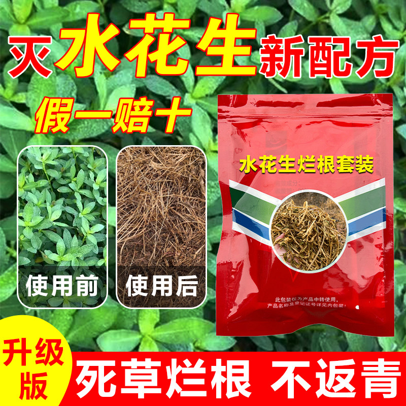 水花生专用烂根剂水花生专杀套装空心莲子草灭草剂死草烂根正品药