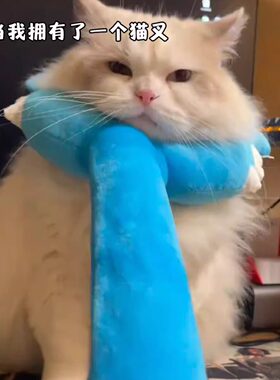 【专治不服小猫】猫咪讨伐棒玩具