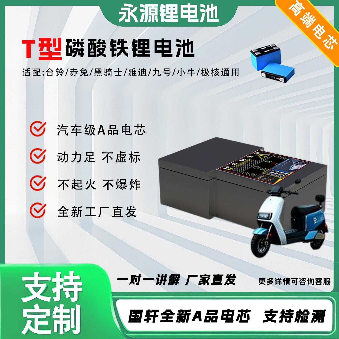 T型磷酸铁锂电池大容量电动车48V60V72V伏外卖二三四轮专用电瓶