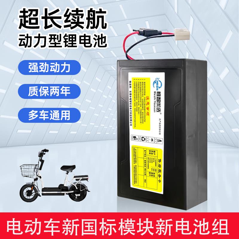 48V锂电池新日爱马电动车电动车锂电池48V12AH大容量天能星恒模块
