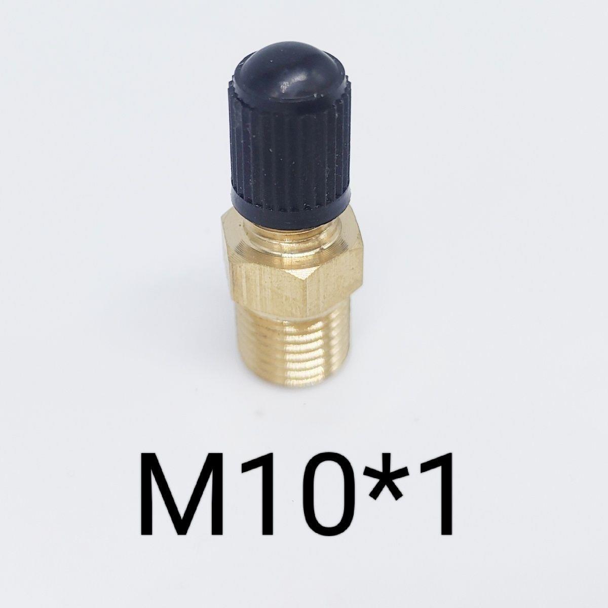 铜气门嘴M10气门嘴充气阀容器充气嘴储气罐压力罐进气阀