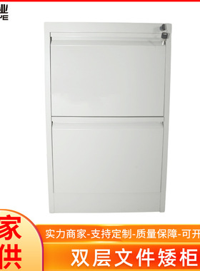 供应双层文件矮柜灰色档案文件双层柜冷轧钢板储物柜子规格可定