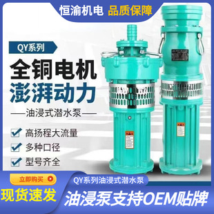QY油浸泵三相380v高扬程潜水泵喷泉花园灌溉大流量抽井水国标电机