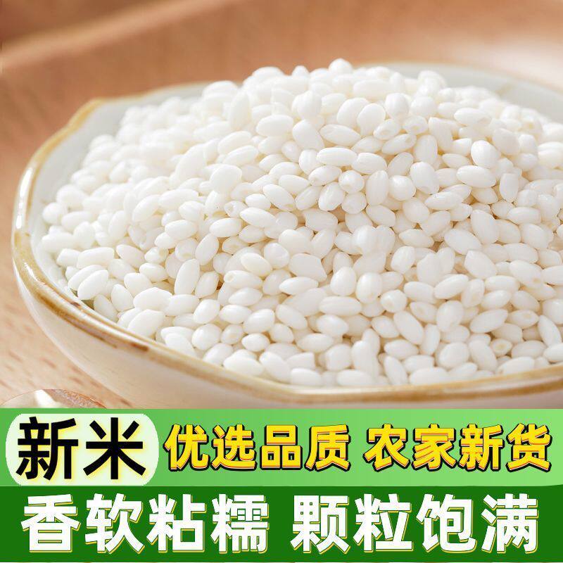 当季新圆糯米包粽子米酒香软粘糯