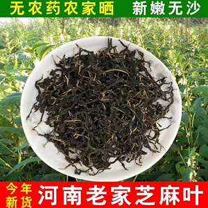 芝麻叶当季新货农家干货河南土特产脱水蔬菜自晒干货精选鲜芝麻叶