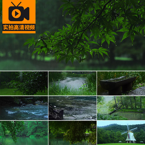 杭州太子湾公园下雨天植物清新河流淌小溪水风景实拍高清视频素材