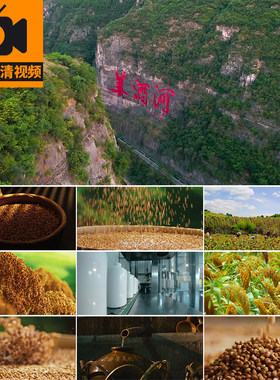 贵州美酒河红高粱酿酒酱香白酒茅台镇酒车间生产实拍高清视频素材