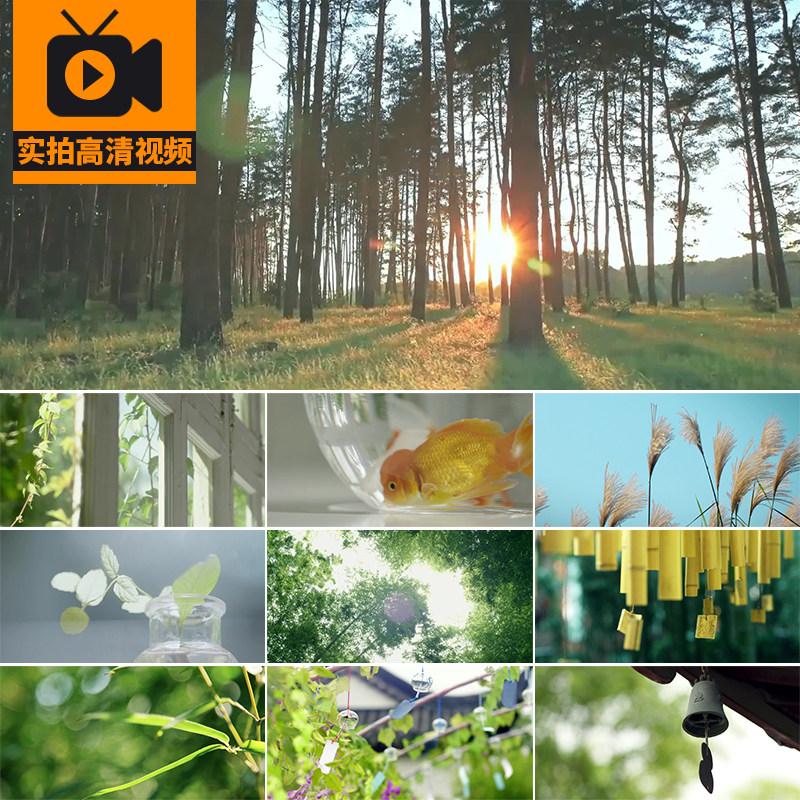 唯美小清新绿色树叶阳光意境雨滴风铃禅意自然风景空镜头视频素材