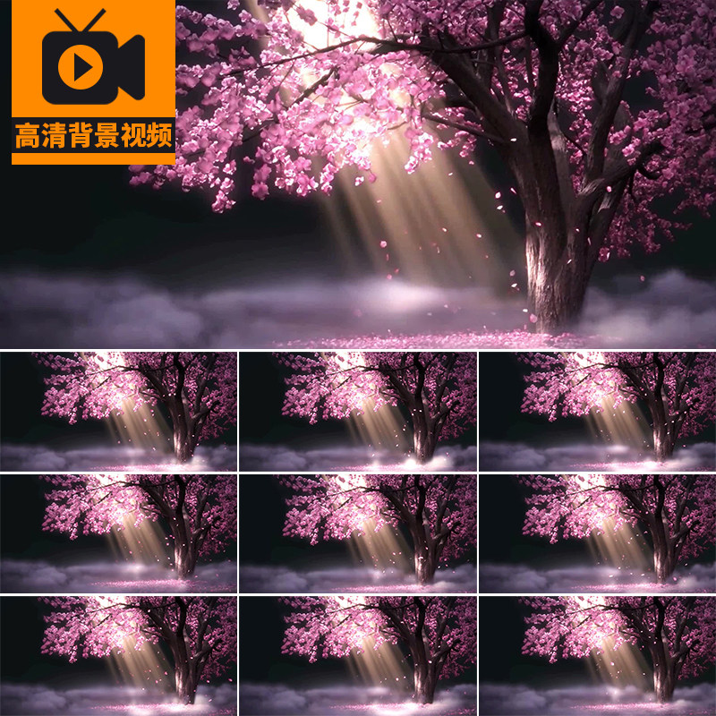 春天桃花树粉色花瓣飘落下桃树月光雾气光线梦幻LED背景视频素材
