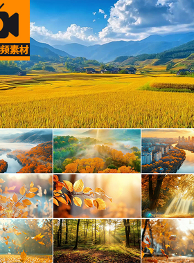 秋天立秋唯美风景秋日枫叶落叶飘零飘落森林秋季LED背景视频素材