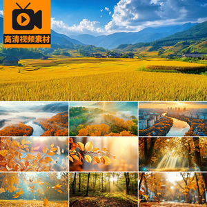 秋天立秋唯美风景秋日枫叶落叶飘零飘落森林秋季LED背景视频素材