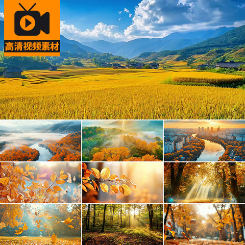 秋天立秋唯美风景秋日枫叶落叶飘零飘落森林秋季LED背景视频素材