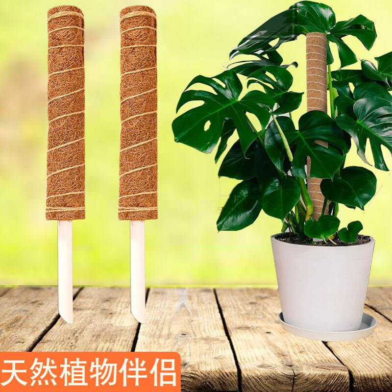 绿萝爬藤棕柱椰棕棒攀爬架植物支撑棍棕榈皮龟背竹支撑杆固定架子