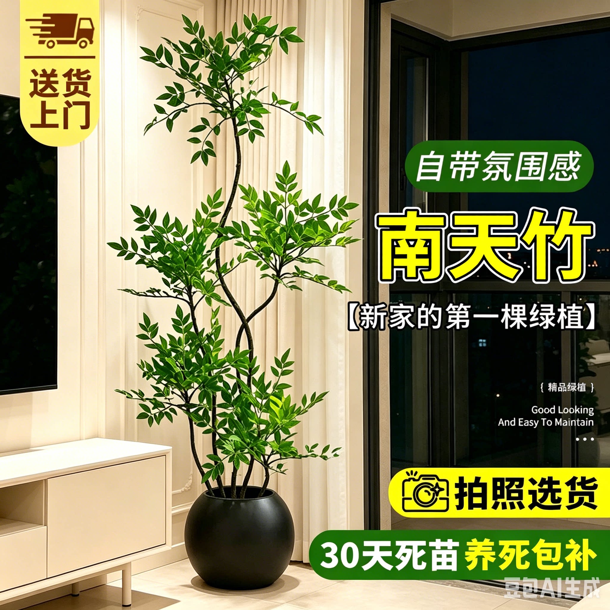 【拍照选货】造型南天竹客厅绿植图片