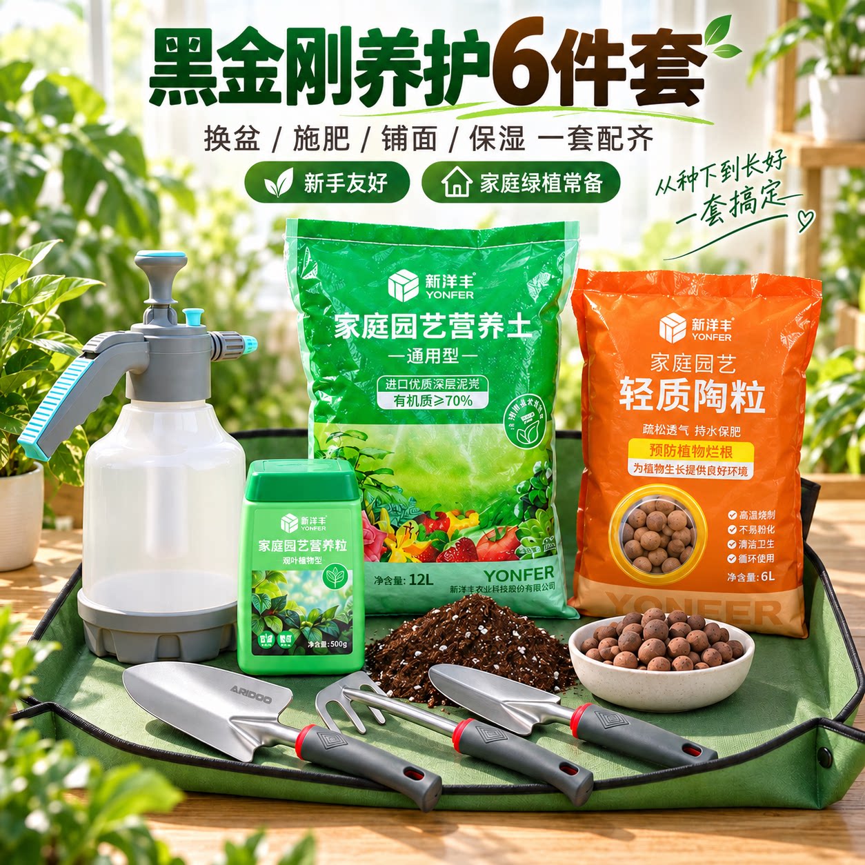 黑金刚养护套装礼包工具全套用品营养换土陶粒肥料喷壶铲子喷壶