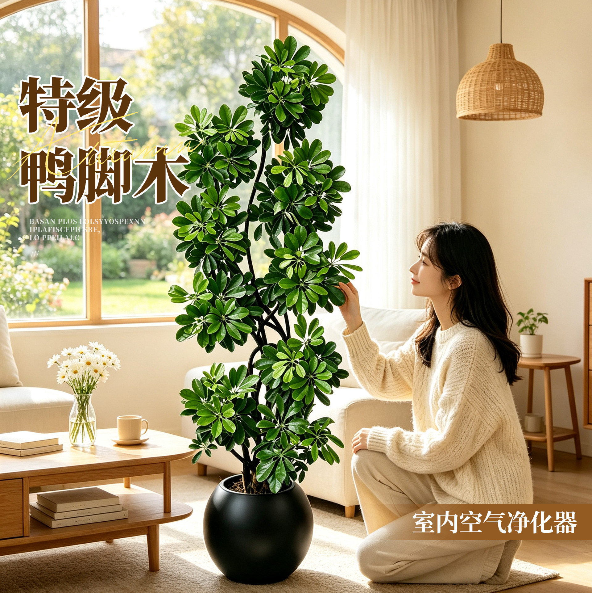 【拍照选货】造型鸭脚木客厅绿植