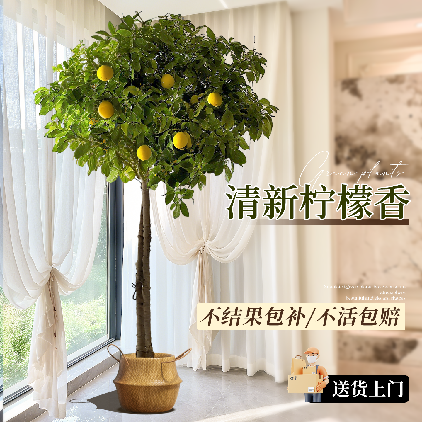 香水柠檬树盆栽果树四季可食用旺宅绿植室内大型植物客厅阳台好养