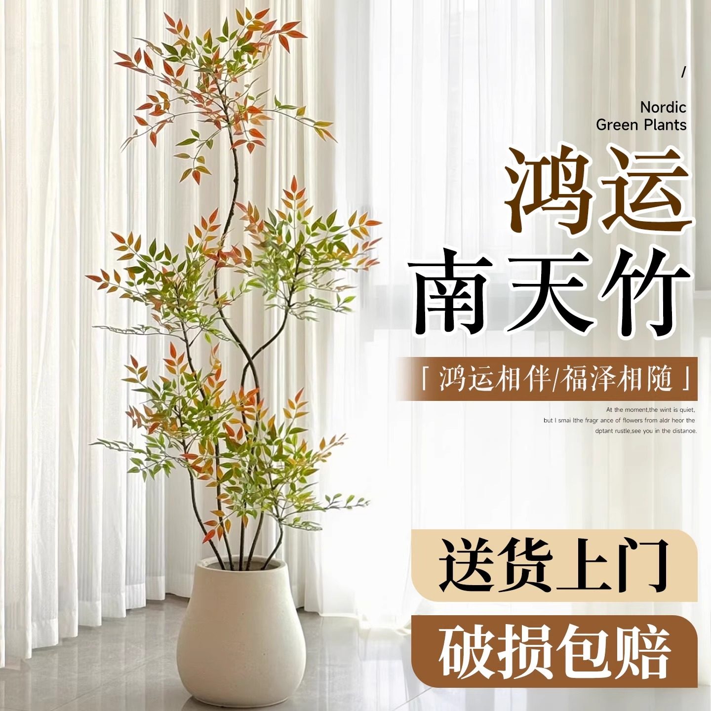 南天竹盆栽客厅大型绿植办公室内真树火焰红老桩高级感落地式大号