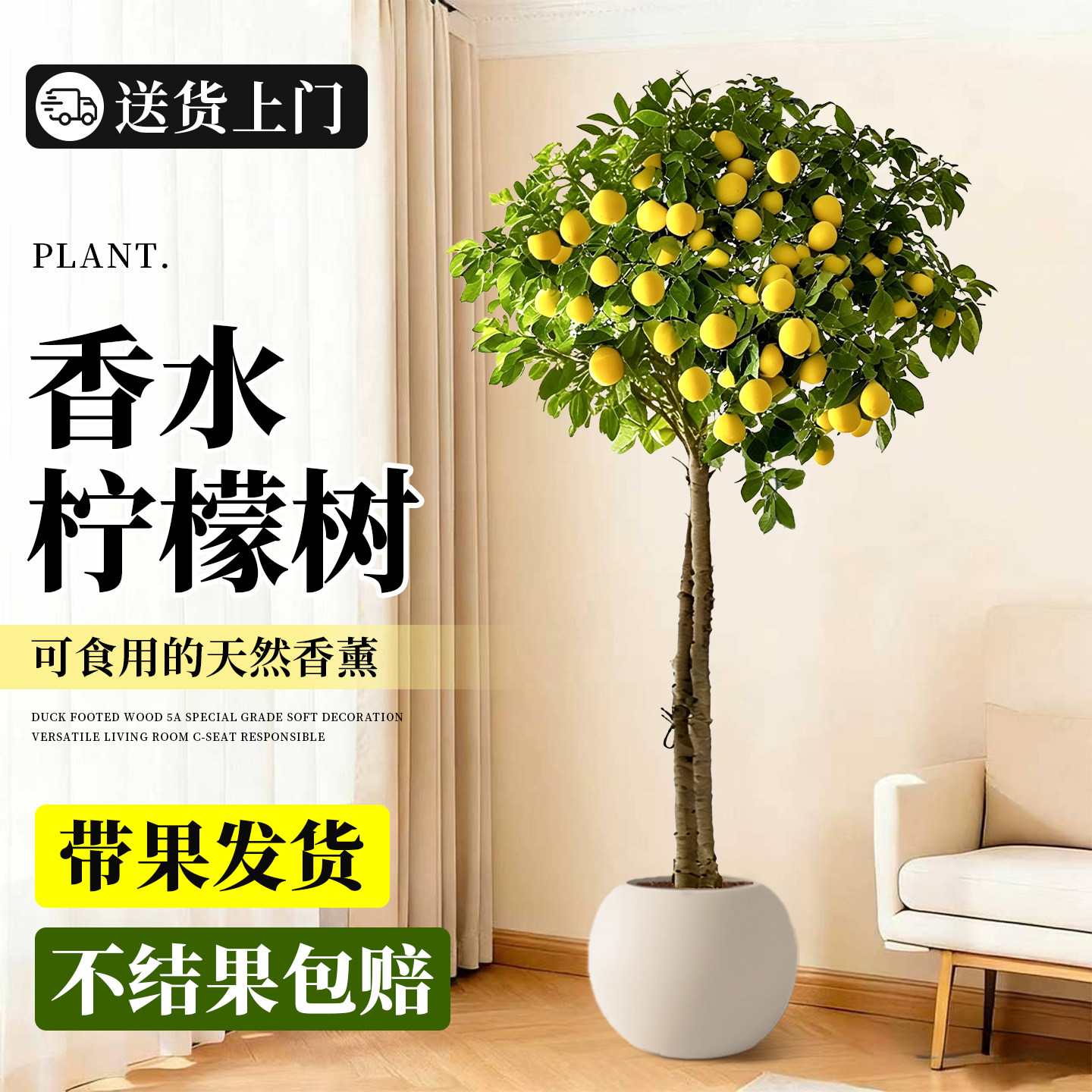 香水柠檬树盆栽大型植物带果四季可食用旺宅绿植室内客厅阳台好养