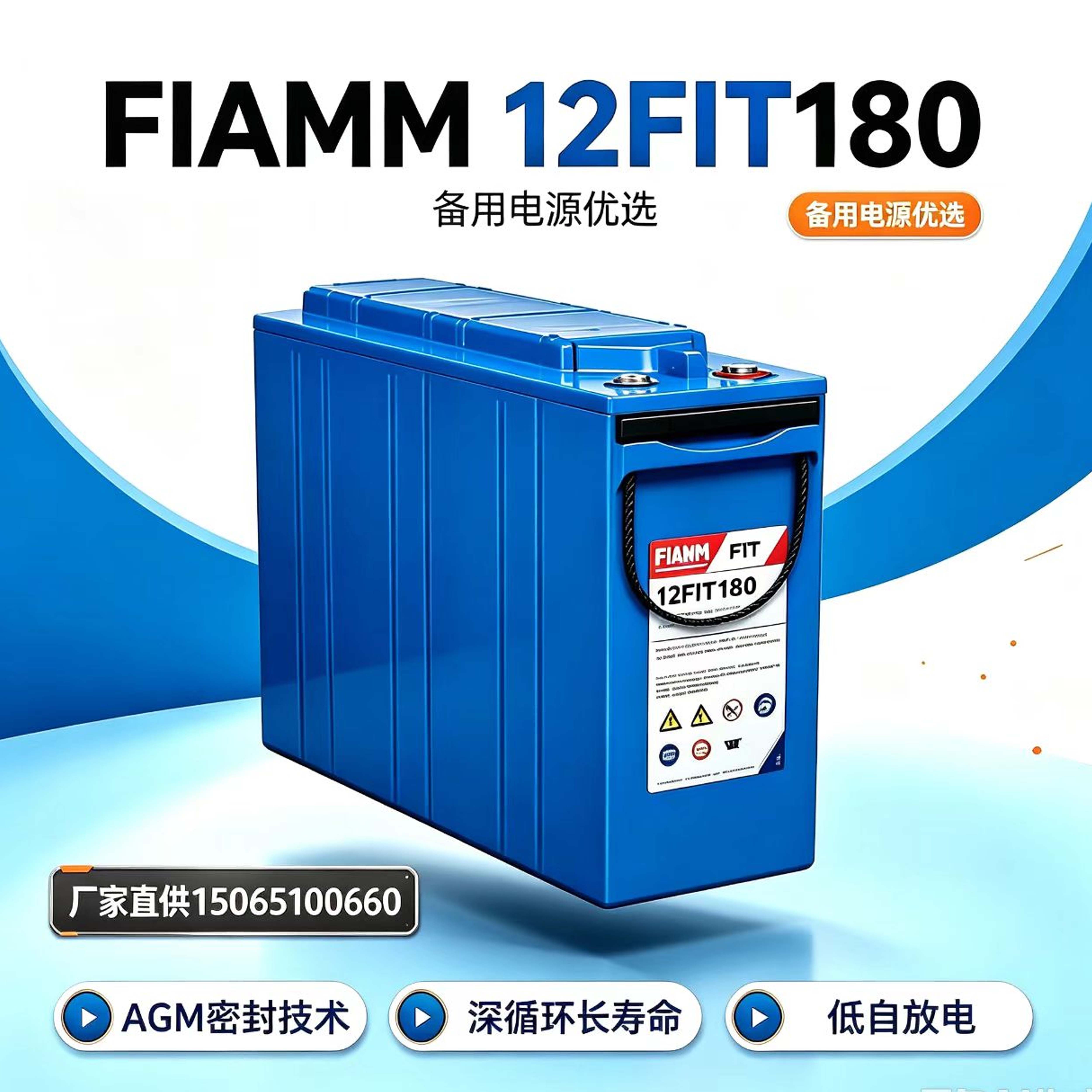 意大利FIAMM非凡蓄电池