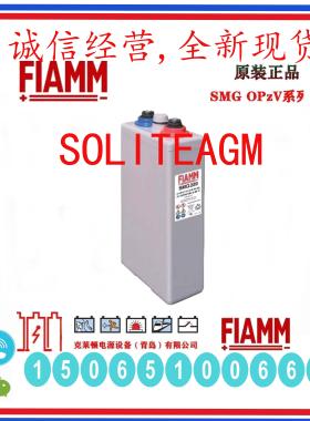 FIAMM蓄电池 SMG220 OPzV 200 非凡电池 2V220AH VRLA AGM