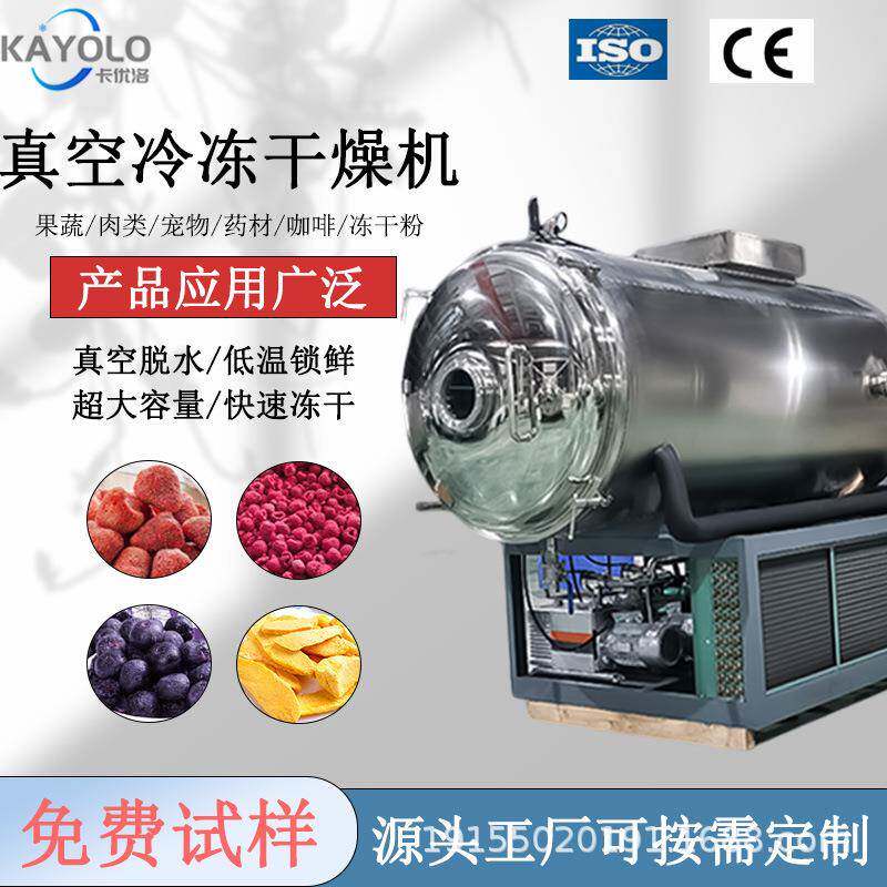 工业级冻干机真空机器食品铁皮石斛鹿茸低温商用中药提取液干燥机