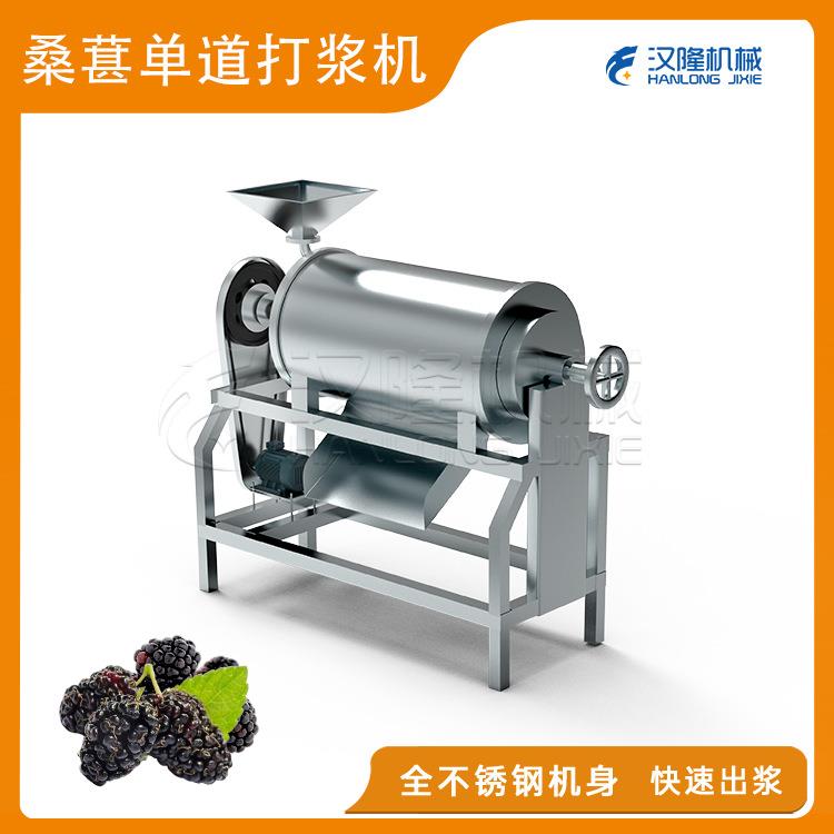 厂家直销不锈钢工业桑葚杨梅去核单道打浆机蔬菜水果类去核打浆机