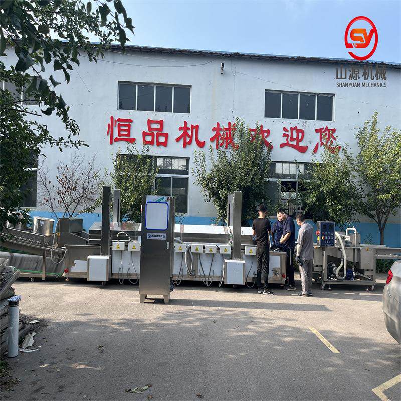 蛋黄鱼皮油炸机 酥脆鳕鱼皮油炸生产线 全自动上浆油炸流水线