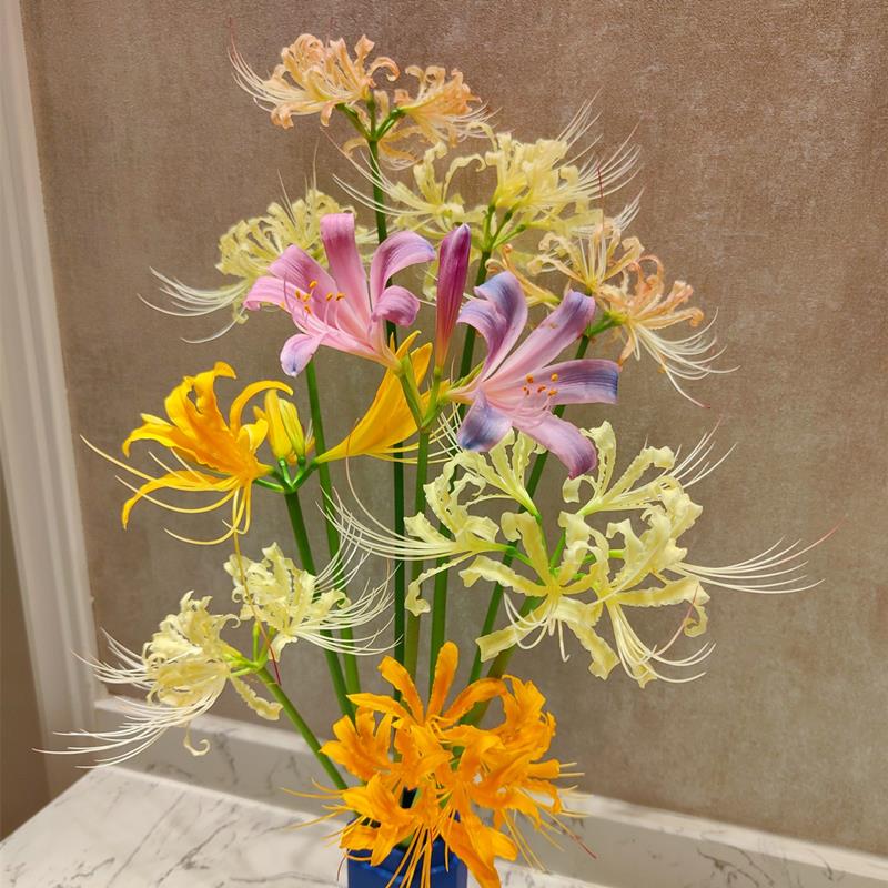 25年现货绿园花开换锦-粉