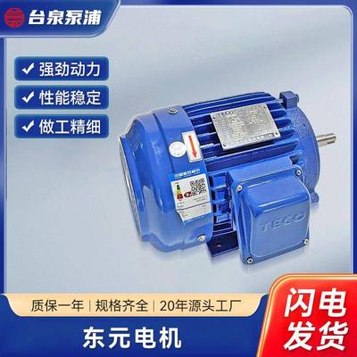 TECO东元电机三相异步电动机全铜丝AEEF系列1450转/分立式电动机