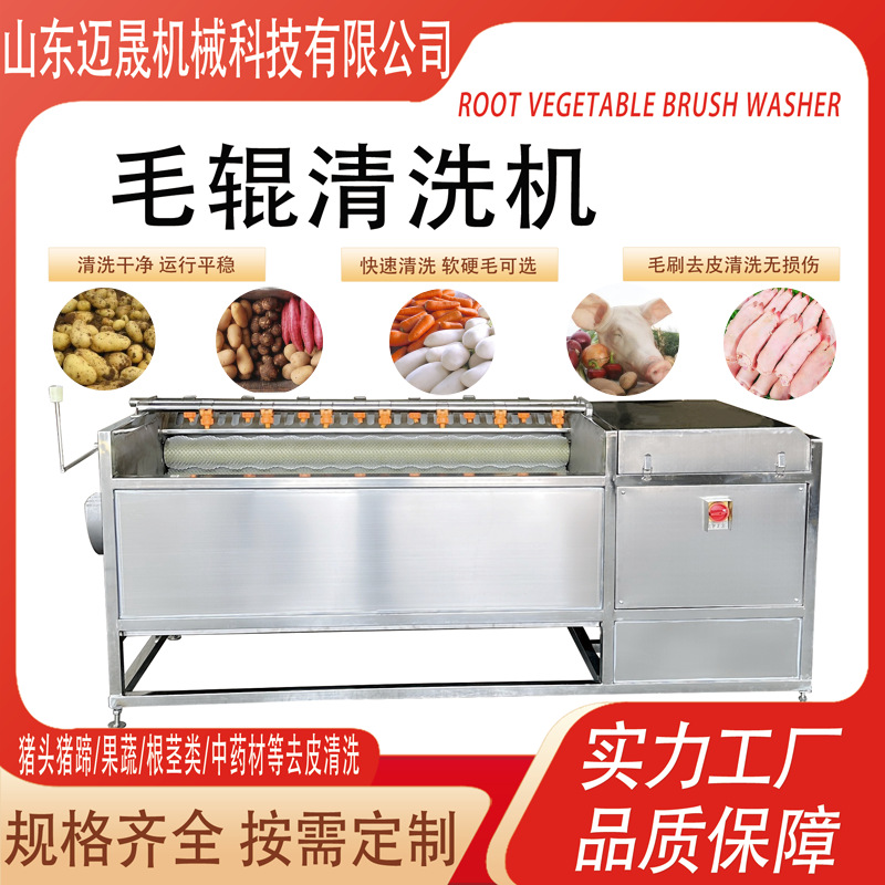 全自动土豆红薯去皮毛辊清洗机 毛刷清洗机 猪头猪蹄羊蹄清洗机