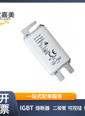 170M2621 170M2661 快速熔断器  全新原装 电子元器件量大价优