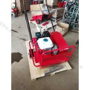 手推式草坪防办结打眼机 汽油动力草坪打孔机 透水透气草坪轧孔机