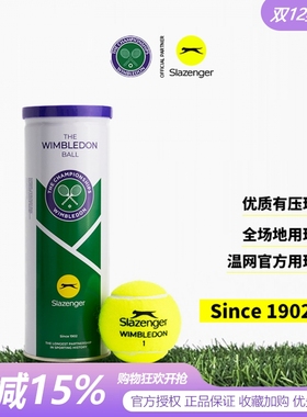 slazenger史莱辛格网球高弹耐打训练球温网单人练习比赛运动用球