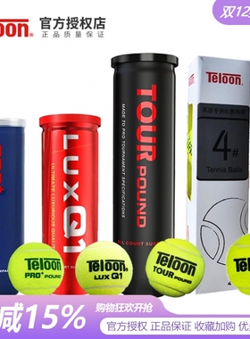 Teloon天龙网球P4专业比赛用球成人训练罐装Pound网球p3听装有压