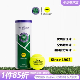 slazenger史莱辛格网球高弹耐打训练球温网单人练习比赛运动用球
