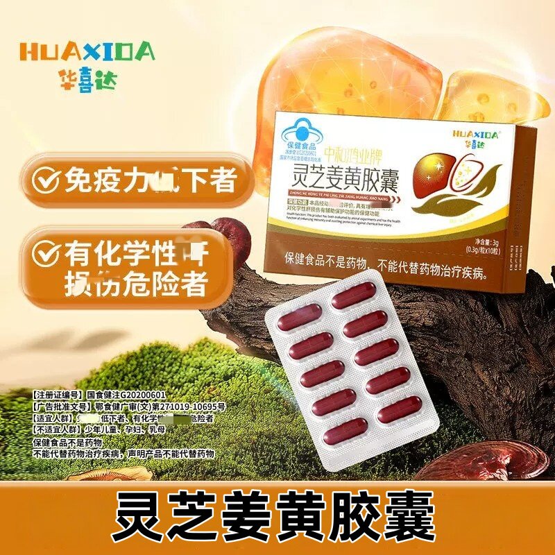华喜达中和鸿业牌灵芝姜黄皎囊化学性肝损伤增强免疫力养肝护肝