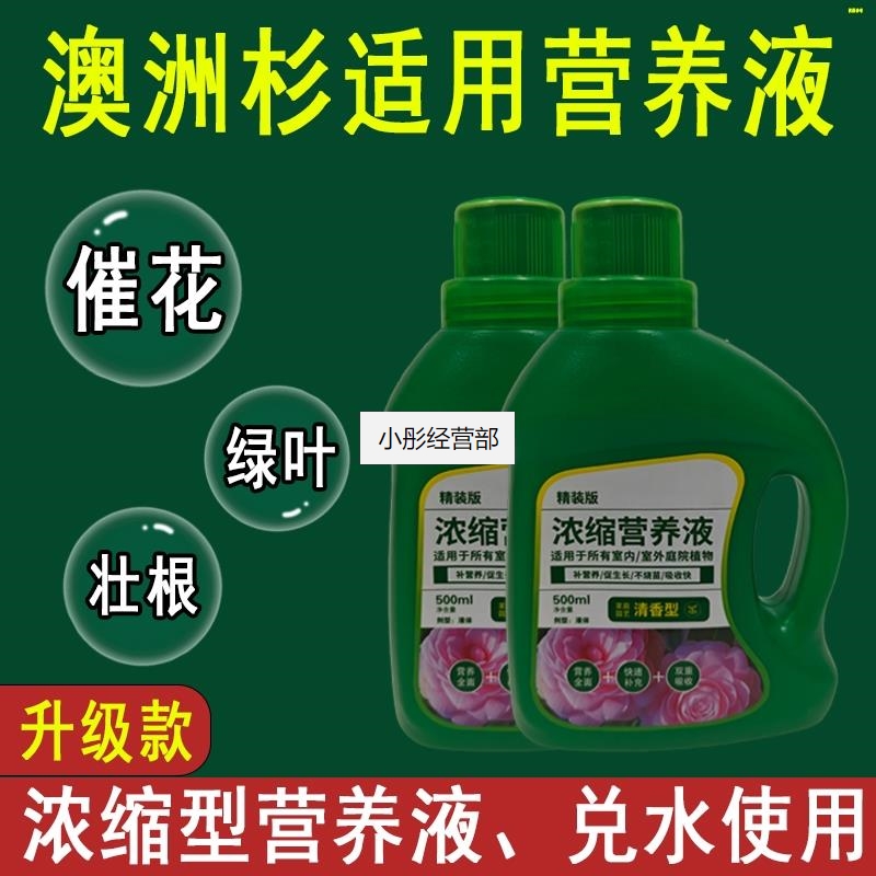 澳洲杉营养液通用型澳洲杉专用营养液花肥绿植水培植物肥料液体肥