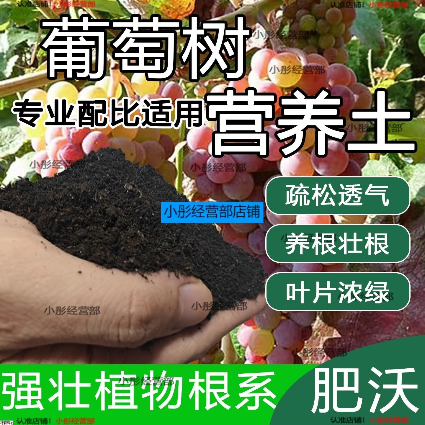 葡萄树专用土肥料室内种植育苗葡萄树种树营养土有机土土壤栽培土
