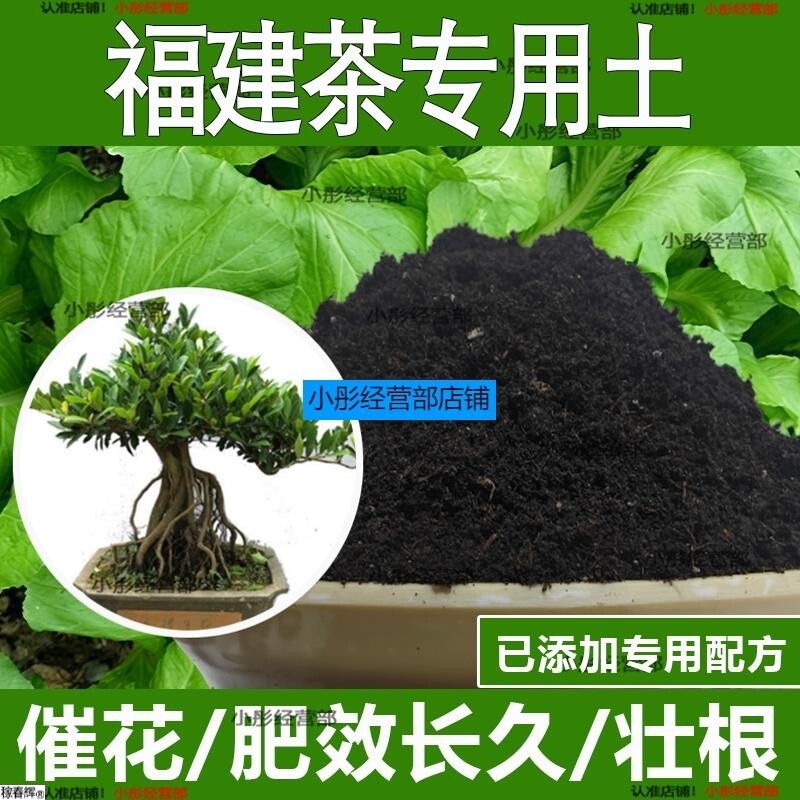 福建茶专用土福建茶专用营养土酸性土种植土通用土有机土肥料土壤