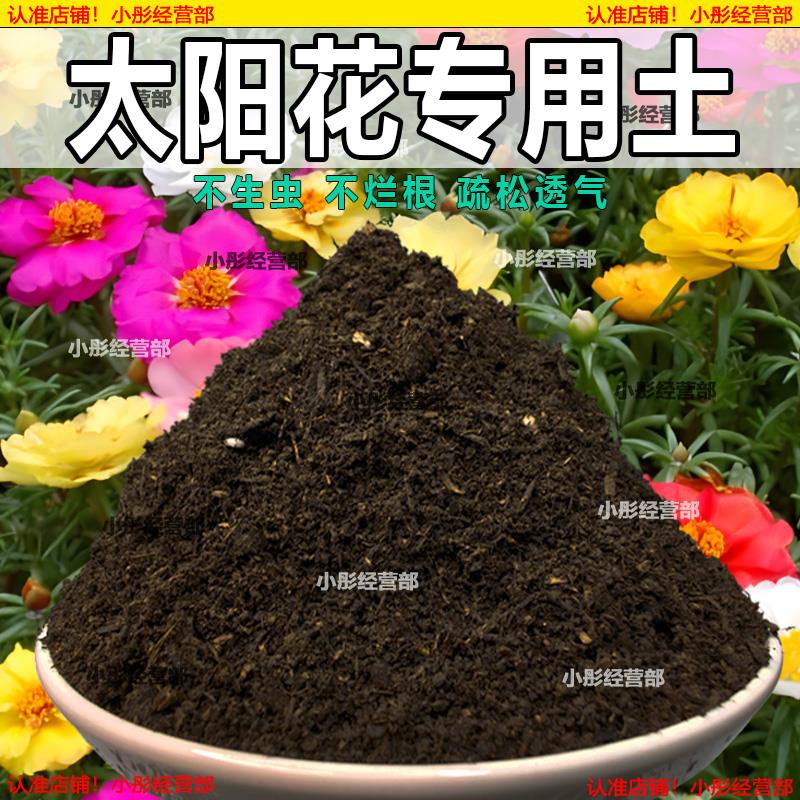 太阳花专用土花卉种植土壤太阳花营养土养花种花肥料盆栽有机花土