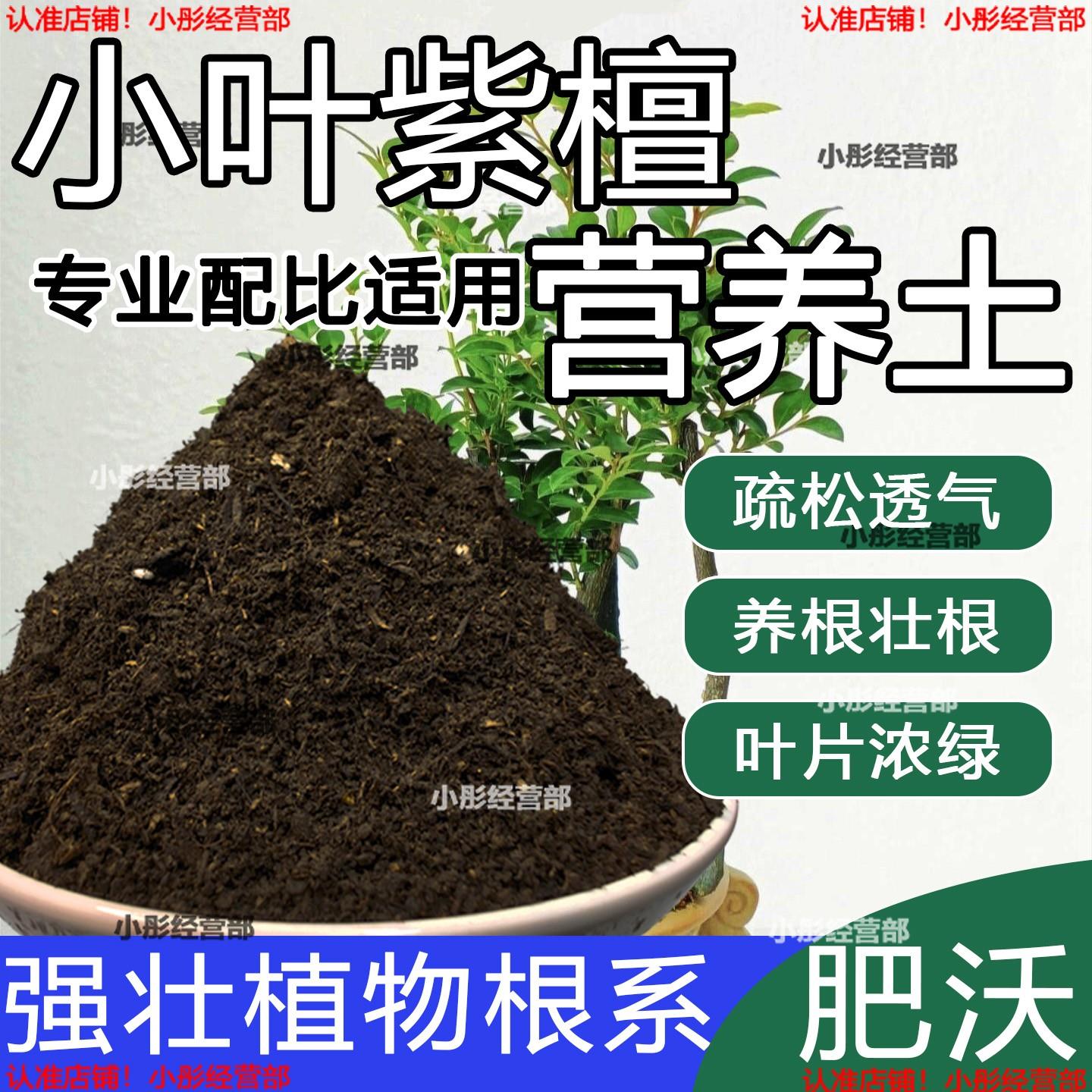 小叶紫檀专用土盆栽配方肥料小叶紫檀营养土透气泥土壤养花种植土