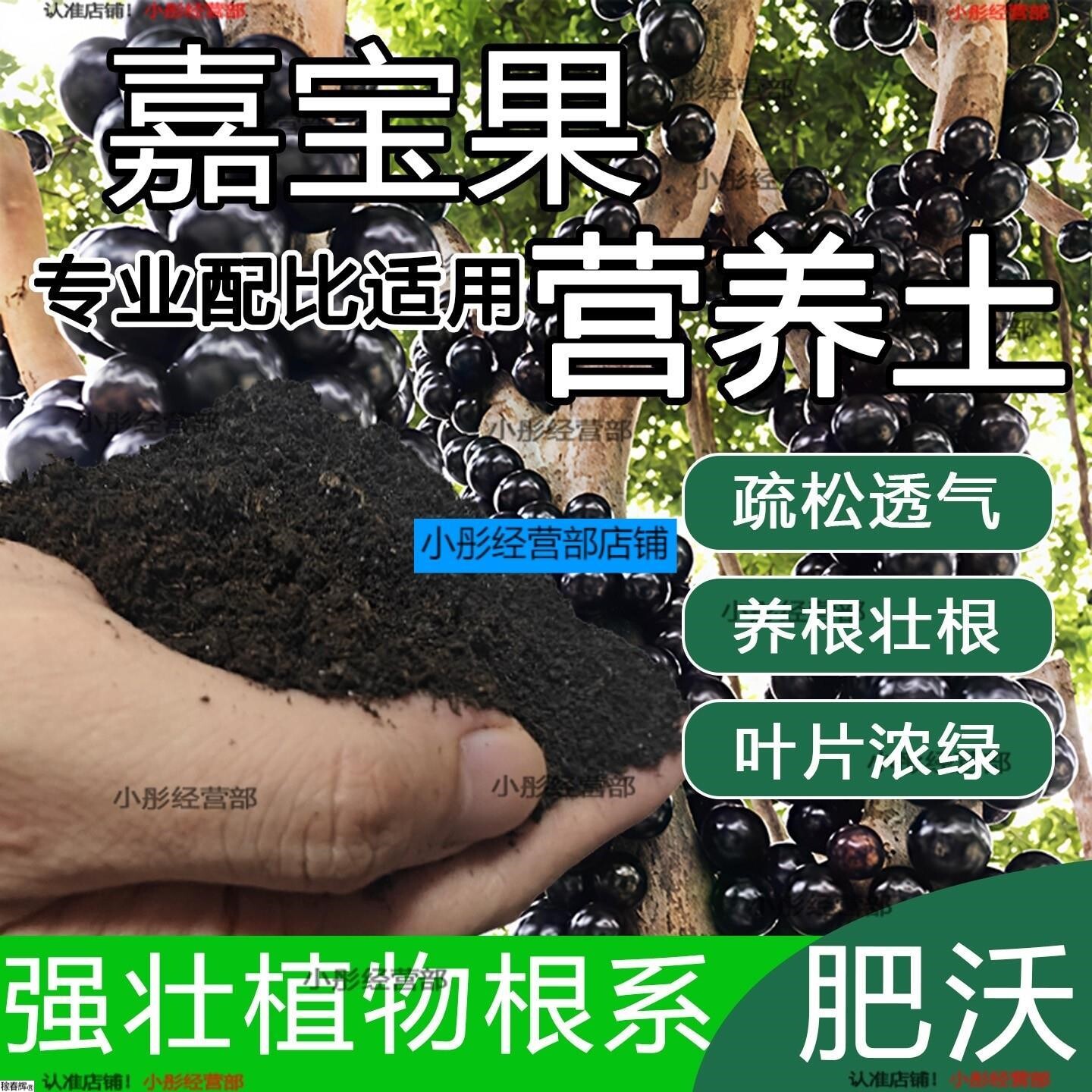 嘉宝果专用土家用植物种植土壤嘉宝果营养土农业果树泥土有机土