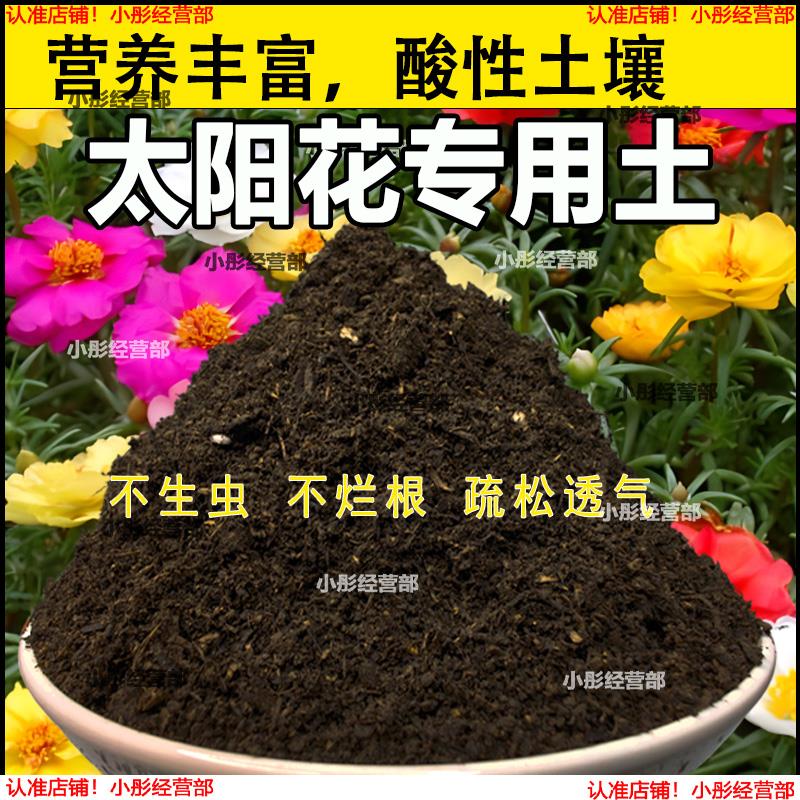 太阳花专用土花卉种植土壤太阳花营养土养花种花肥料盆栽有机花土