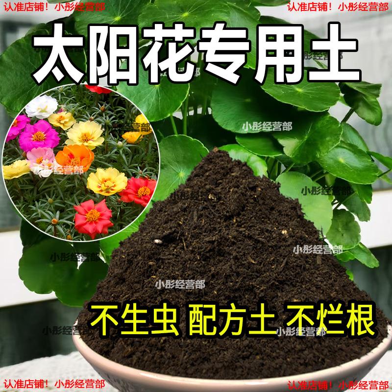 太阳花专用土花卉种植土壤太阳花营养土养花种花肥料盆栽有机花土