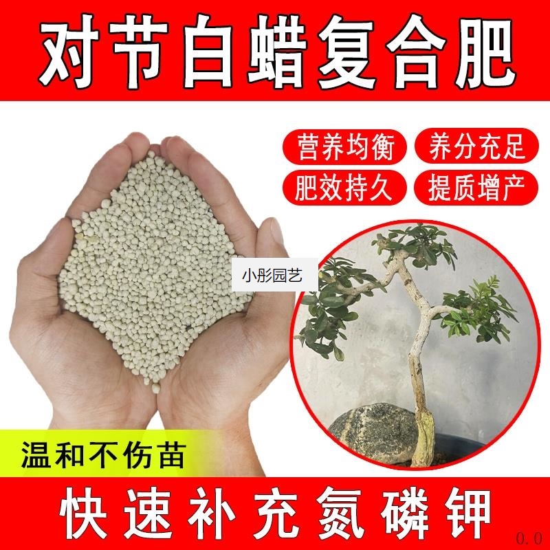 对节白蜡复合肥通用型缓释花肥家用室内绿植养花育苗农业有机肥料